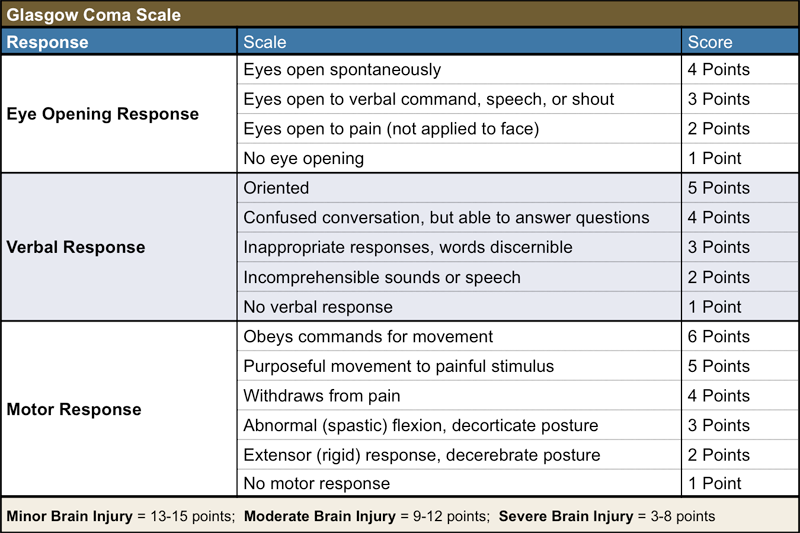 File:The glasgow coma scale.png