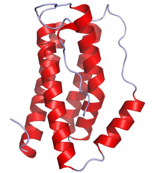 File:IL6 Crystal Structure.rsh.png